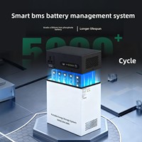 Système de production d'énergie solaire photovoltaïque monocristallin portable domestique MPPT au lithium-ion 1000W 220V/230V avec stockage inversé