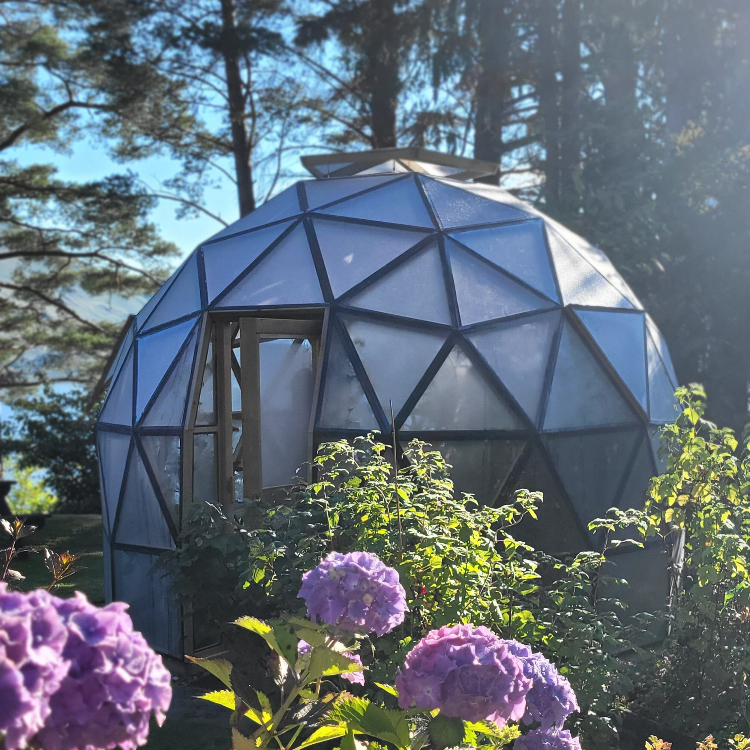 huge geodesic dome aviary