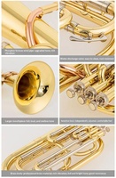 Cornet ténor à trois valves en Mi bémol, cornet baryton en Si bémol, euphonium, sousaphone