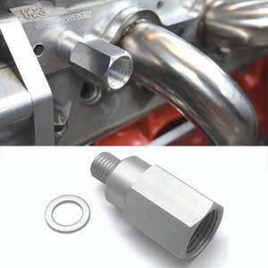 Capteur de température d'eau haute précision avec rallonge et coupleur pour moteurs LS1 LS2 LS3 LSx, filetage M12 vers 1/2" NPT, service personnalisé - Product Image 6