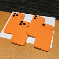 Coque pour iPhone 17 Pro Max avec protection d'appareil photo, en TPU souple, sensation silicone, anti-traces de doigts, vente en gros 17 16pro
