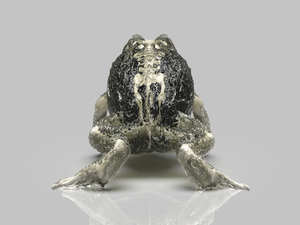 Escultura Artística de <span class=keywords><strong>Esqueleto</strong></span> de <span class=keywords><strong>Sapo</strong></span> de Resina Transparente HD de Alta Calidad, Patrón Animal, Arte Coleccionable, Decoración para el Hogar, Regalo - Product Image 6