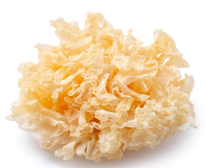 IngreLoner最高品質5:1 10:1 20:1雪真菌エキス<span class=keywords><strong>Tremella</strong></span> <span class=keywords><strong>Fuciformis</strong></span>パウダーバルク価格 - Product Image 4