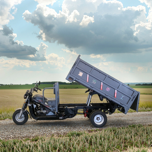 Hot Selling New Adult Open Dreirad Motorrad 200cc/250cc/150cc Benzinmotor Motorisierter Transport Fracht Dreirad Adult Benzin Dreirad - Product Image 1