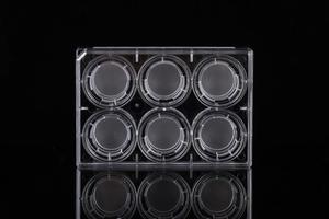 Insert Transwell Membran PET 1um untuk Plat Kultur Lab <span class=keywords><strong>6</strong></span>-well, Insert Kultur Sel - Product Image 3