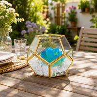 Vas Bunga Meja Pernikahan Modern Buatan dari Logam Rose Gold Tembaga Kaca Terarium Geometris