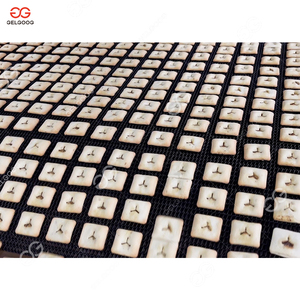 Máy làm bánh quy mềm cứng phủ socola tự động, dây chuyền sản xuất bánh quy hình gấu - Product Image 4