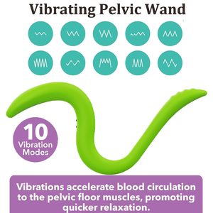 Vibrador Pélvico con Soporte de Silicona de Grado Médico, 10 Frecuencias, Impermeable y Recargable por USB - OEM/ODM - Product Image 2