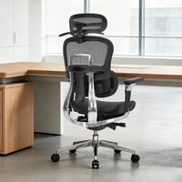 Chaise de bureau ergonomique en maille BIFMA de Chine avec support lombaire réglable et accoudoirs 6D pour ordinateur