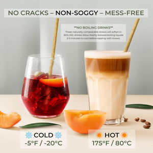 قشة شرب مصنوعة من ألياف نباتية من قصب السكر، قابلة للتحلل الحيوي والتسميد، مغلفة فرديًا، للتخييم - Product Image 4