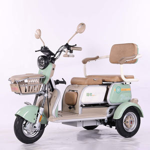 Haute qualité 48V/60V Tricycle électrique cyclomoteur adulte corps ouvert vélo électrique usine de gros - Product Image 2