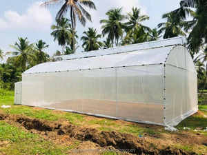 Serre de 300 mètres carrés prête <span class=keywords><strong>à</strong></span> être expédiée, serre tunnel <span class=keywords><strong>à</strong></span> simple portée <span class=keywords><strong>à</strong></span> faible coût, serre pour légumes, serre <span class=keywords><strong>à</strong></span> <span class=keywords><strong>vendre</strong></span> - Product Image 4