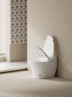 WC intelligent électrique moderne 110V/220V, cuvette de toilette en céramique de luxe, toilette intelligente automatique avec bidet, fixation murale