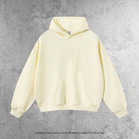 Sweat à capuche décontracté pour homme en coton épais 430G, personnalisable avec logo, fabricant de vêtements, pull-over grande taille, sweat-shirt unisexe vierge