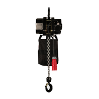 Treuil électrique à chaîne pour scène, mini-treuil, prix d'usine, éclairage et audio, treillis de montage, levage de moteur, 220v, activités de construction