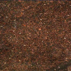 Dalles de granit brun café 2 cm polies |   Granit brun foncé indien pour sols et comptoirs |   Qualité d'exportation - Product Image 1