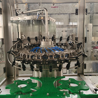 Machine de remplissage automatique rotative complète de haute précision de type industriel pour la production de jus de fruits et de vin en ligne de mise en bouteille