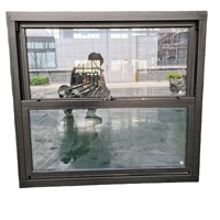 Ventana Corredera Vertical de Aluminio MD83 Norteamericana Insonorizada para Renovaciones de Salas de Estar, Mejora, Reequipamiento, Reemplazo