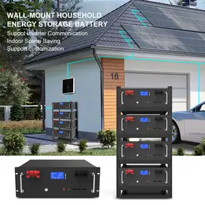 51.2V 5KWH 10KWH 15KWH 20KWH Solar Battery Rack Mounted LifePO4 Lithium Ion Energy Storage Battery For Home Energy System