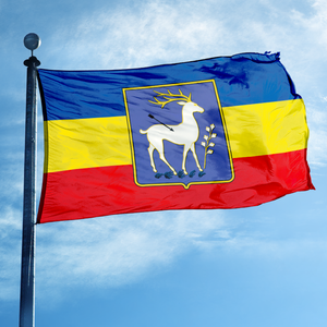Drapeau des Cosaques du <span class=keywords><strong>Don</strong></span>, <span class=keywords><strong>Russie</strong></span>, avec emblème artistique, 3*5 pieds, OEM ODM - Product Image 1