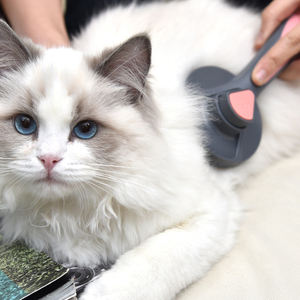 Cepillo ecológico para mascotas, peine de aguja autolimpiante con pasadores de acero inoxidable, Material plástico para perros y gatos - Product Image 3