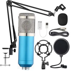 Professionele Ontwerp Verstelbare Condensor Podcasting Studio Microfoon Bm800 Voice Recording