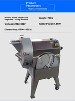 Commerciële, frequentiegestuurde, automatische groentesnijder/slicer met één mes voor het snijden van fruit en bittere groenten in reepjes.