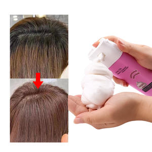 OEM Touchcolor 50 Rich Mousse Mousse <span class=keywords><strong>Cheveux</strong></span> Teintes Pour El Cabello Sans PPD <span class=keywords><strong>Cheveux</strong></span> Couleur Couverture Gris - Product Image 3