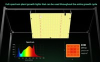 Lampe de culture LED Quantum Board à spectre complet LUXINT pour tente de culture 2x2, 150W LM281B IP65 pour hydroponie et plantes