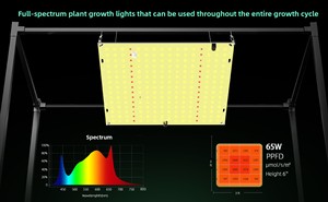 Lampe de culture LED Quantum Board avec puce LED Samsung, IP65, spectre complet IR UV 700nm, pour la floraison, hydroponie et <span class=keywords><strong>plantes</strong></span> - Product Image 3