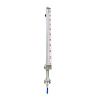 Niveaumètre à clapet magnétique latéral en acier inoxydable 316, précision 0,05%-0,1%, sortie 4-20mA/RS485 pour achat en gros de produits chimiques