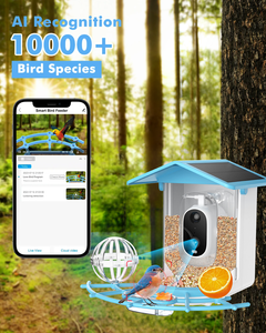 Mangeoire intelligente pour oiseaux 3MP avec caméra, reconnaissance IA, plus de 10 000 espèces d'oiseaux, vision nocturne couleur, notifications instantanées, Wifi 2.4G, IP65 - Product Image 2