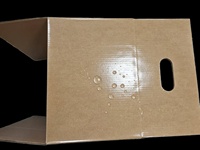 Gerecycleerde kartonnen geïsoleerde verzenddozen met waterdichte glanzende laminatie, recyclebaar & biologisch afbreekbaar voor fruit en groenten