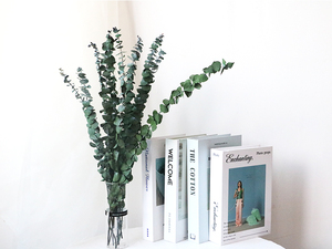Vente en gros de <span class=keywords><strong>fleurs</strong></span> d'eucalyptus <span class=keywords><strong>stabilisées</strong></span> en feuilles d'eucalyptus de haute qualité pour les occasions de remise de diplômes bon marché - Product Image 3