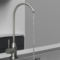 Poignée unique en acier inoxydable 304 purificateur d'eau robinet couleur argent cuisine spécifique monotrou brossé hôtels