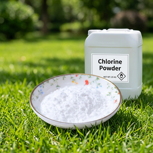 <span class=keywords><strong>Cloro</strong></span> <span class=keywords><strong>en</strong></span> <span class=keywords><strong>Polvo</strong></span> E20260409, <span class=keywords><strong>90</strong></span>% de Ingrediente Activo, Cumple con las Normas Internacionales - Product Image 4