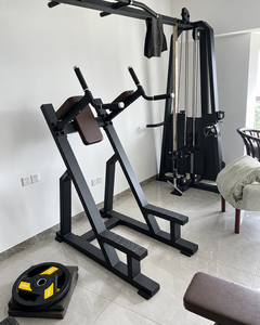 <span class=keywords><strong>Station</strong></span> verticale de soulevés de genoux et dips SK Commercial Gym – Équipement d'entraînement de calisthénie pour acheteurs de clubs de fitness, hôtels, salles de sport et studios - Product Image 4