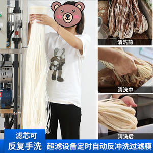 Équipement d'ultrafiltration à pression externe, boue jaune Nemesis, système de filtration intermédiaire MBR, traitement rural, haute efficacité, Jin - Product Image 3