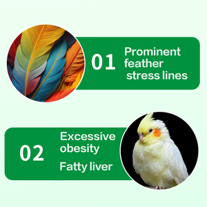 Papağan Karaciğer Özü Besin Takviyeleri Besin Çözümü <span class=keywords><strong>Vitamin</strong></span> Takviyesi - Product Image 3