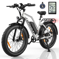 Vélo de montagne électrique rapide EU 500W/750W 45KPH avec pneus larges 24x4 pouces, batterie 48V 13AH longue autonomie, cadre basse montée pour femmes