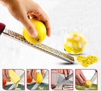 Professionele Zester Gereedschap Multifunctionele Keuken Kaas Wortel Groente Rasp Handmatige Citroen Zester met Beschermkap