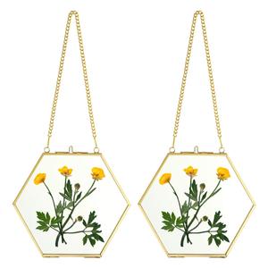 <span class=keywords><strong>Marco</strong></span> DE FOTOS colgante de cristal dorado de pared hexagonal, <span class=keywords><strong>marco</strong></span> flotante con cadenas - Product Image 1