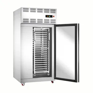 Commercial Freezing Machine Ultra-Low Temperature Single Door Blast Freezer Of Iqf Tunnel Freezer Frozen Vegetables Seafood