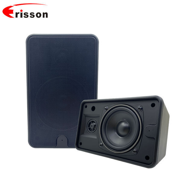 2023 High Performance OEM/ODM Indoor/Outdoor Waterproof In- Wall Full Range Speaker 2-Way Wall Mounted Loudspeaker