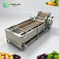 Industriële 304 roestvrijstalen machine voor het wassen, drogen en verwerken van groenten en fruit, inclusief apparatuur voor het reinigen van gedroogde dadels