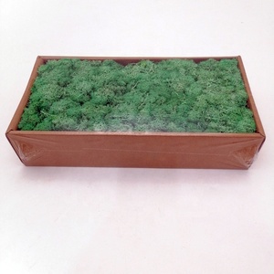 มอสกวางเรนเดียร์แห้งที่มีเสถียรภาพมอสธรรมชาติสีเขียวธรรมชาติที่แท้จริงสำหรับการตกแต่งผนังสำหรับวันอีสเตอร์วันอีสเตอร์ที่สำเร็จการศึกษา - Product Image 4