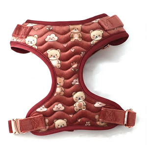 Nouveau design 2026 : Ensemble de <span class=keywords><strong>harnais</strong></span> <span class=keywords><strong>pour</strong></span> animaux de compagnie en velours brodé, réglable, confortable, avec <span class=keywords><strong>collier</strong></span> et laisse, personnalisable <span class=keywords><strong>pour</strong></span> fournisseurs - Product Image 2