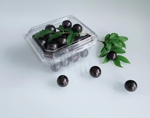 Clear Plastic Box Plastic Fruit Box For Blueberry, Strawberry Box