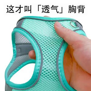 Harnais de poitrine réfléchissant et respirant pour petits chiens avec laisse - Product Image 2