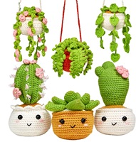 Ensemble de poupées en crochet de coton faites à la main pour plantes en pot, adorables amigurumi cactus et succulentes en panier suspendu, écologiques et imperméables